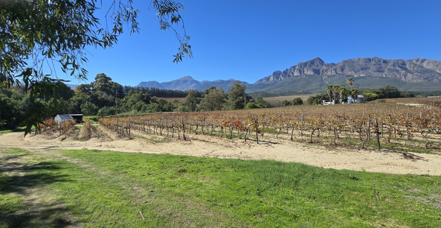 Commercial Property for Sale in Wellington Rural Western Cape